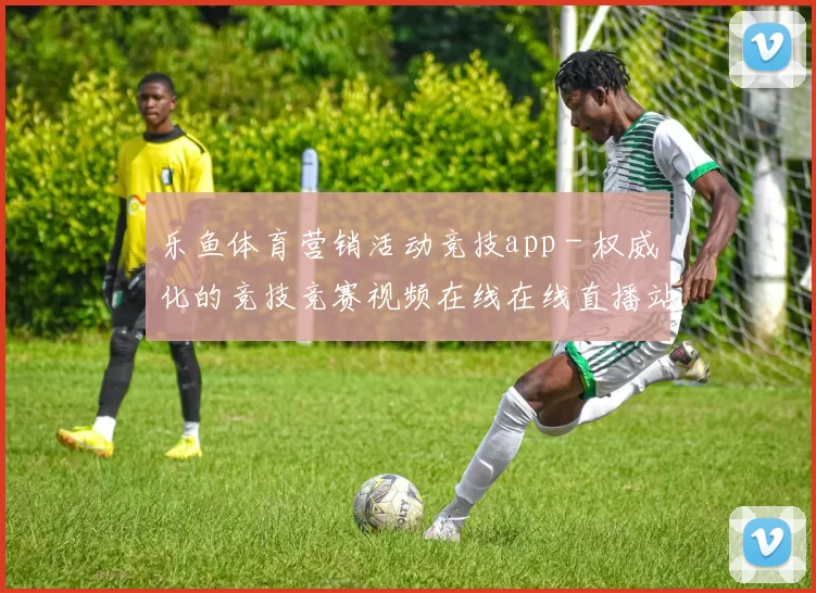 乐鱼体育营销活动竞技app - 权威化的竞技竞赛视频在线在线直播站点