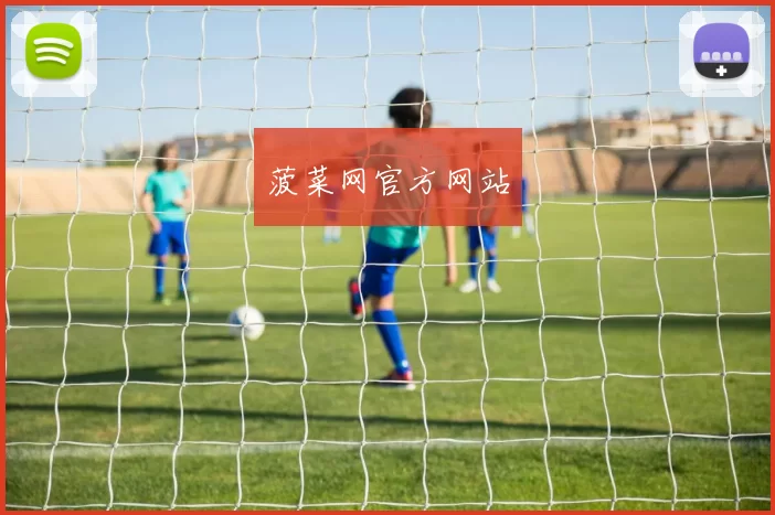 菠菜网官方网站