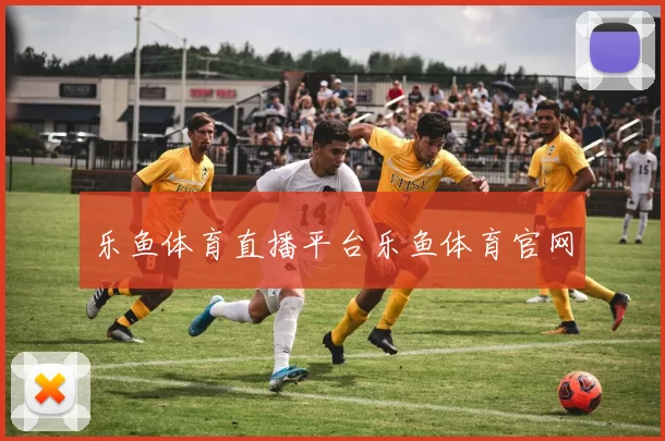 乐鱼体育直播平台乐鱼体育官网