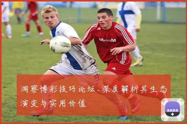 洞察博彩技巧论坛_深度解析其生态演变与实用价值