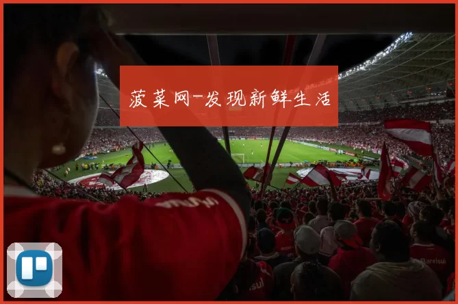 菠菜网-发现新鲜生活