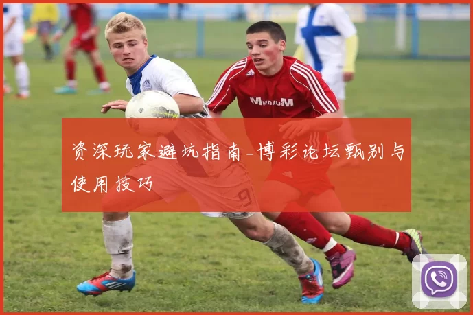 资深玩家避坑指南_博彩论坛甄别与使用技巧