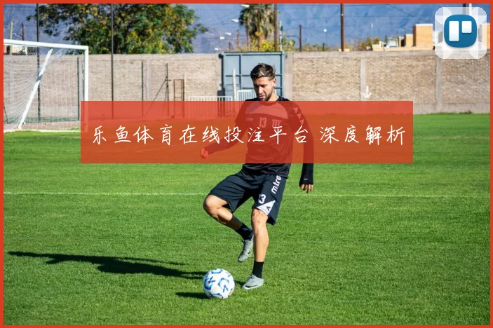 乐鱼体育在线投注平台 深度解析