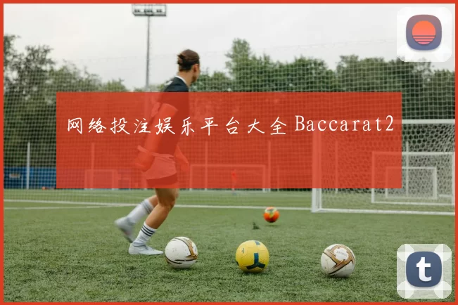 网络投注娱乐平台大全 Baccarat2