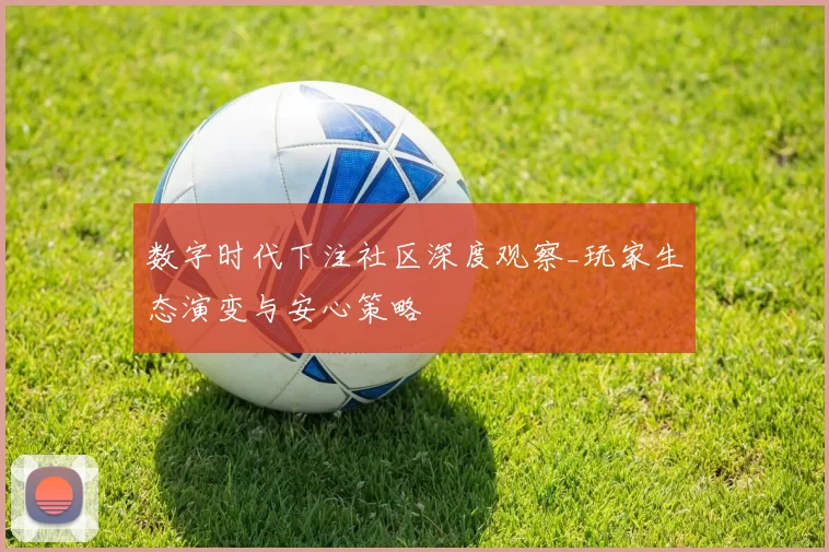 数字时代下注社区深度观察_玩家生态演变与安心策略