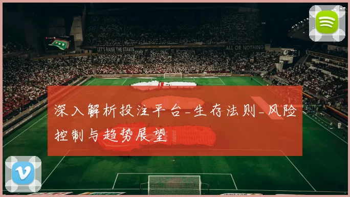 深入解析投注平台_生存法则_风险控制与趋势展望