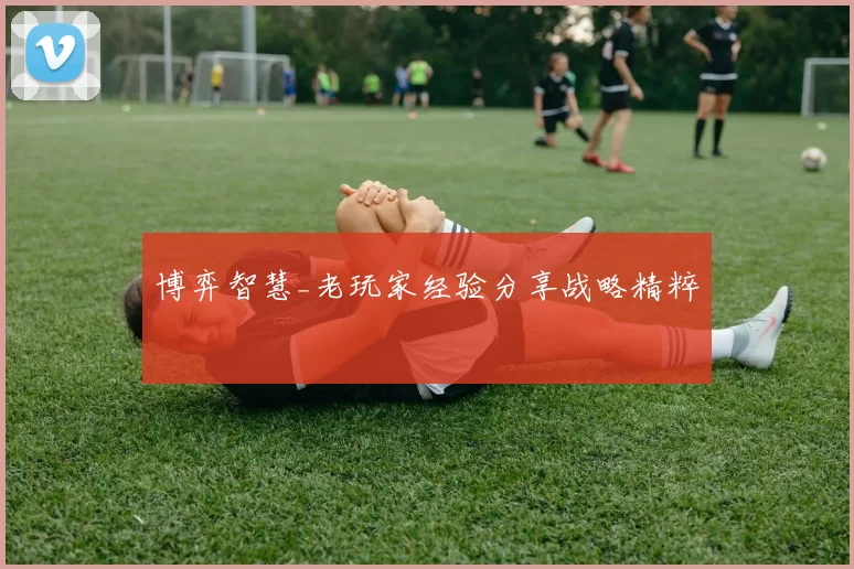 博弈智慧_老玩家经验分享战略精粹