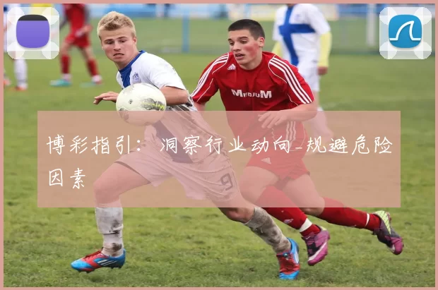 博彩指引：洞察行业动向_规避危险因素