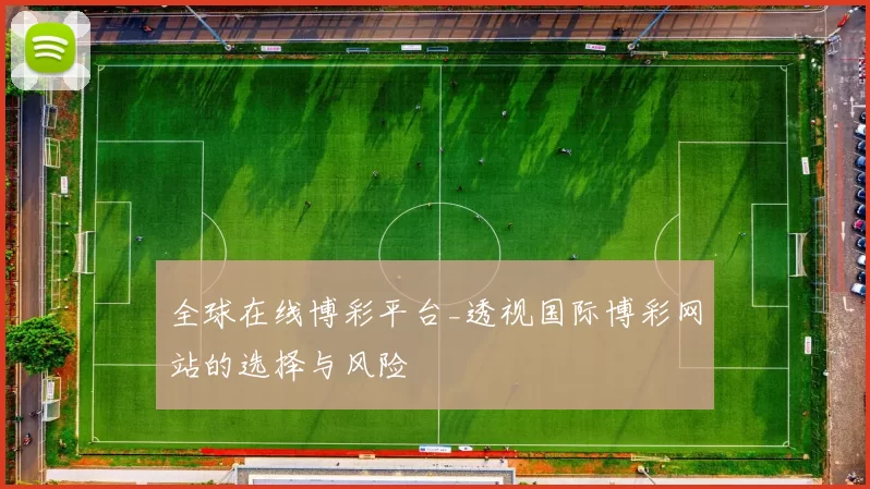 全球在线博彩平台_透视国际博彩网站的选择与风险