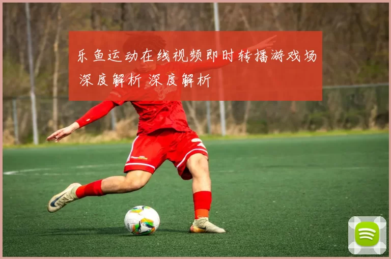 乐鱼运动在线视频即时转播游戏场 深度解析 深度解析
