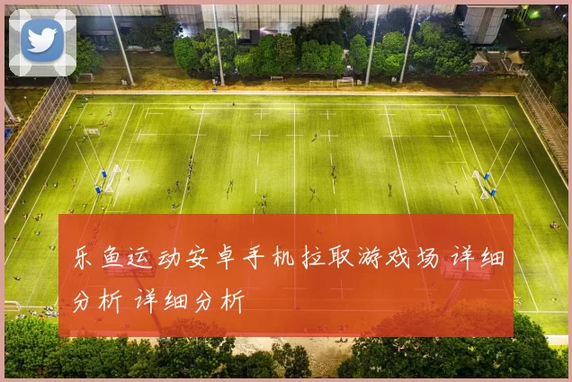 乐鱼运动安卓手机拉取游戏场 详细分析 详细分析
