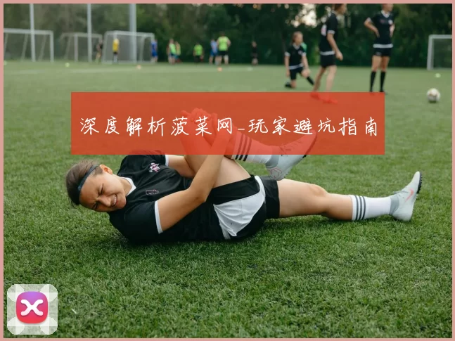 深度解析菠菜网_玩家避坑指南