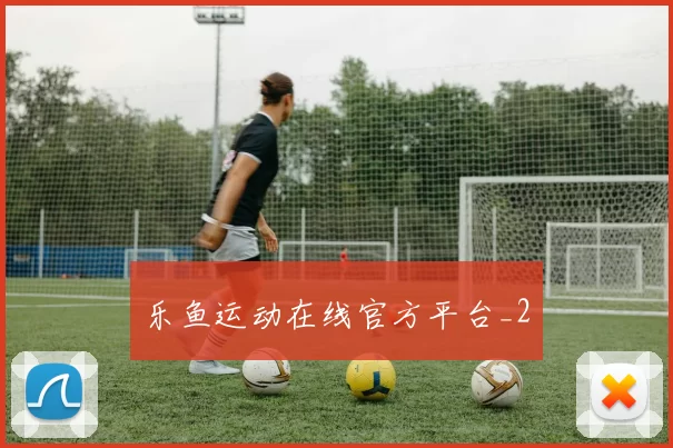乐鱼运动在线官方平台_2