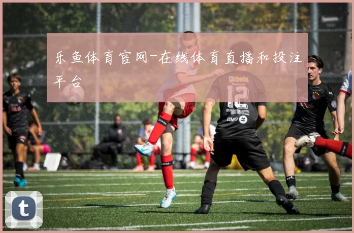 乐鱼体育官网-在线体育直播和投注平台