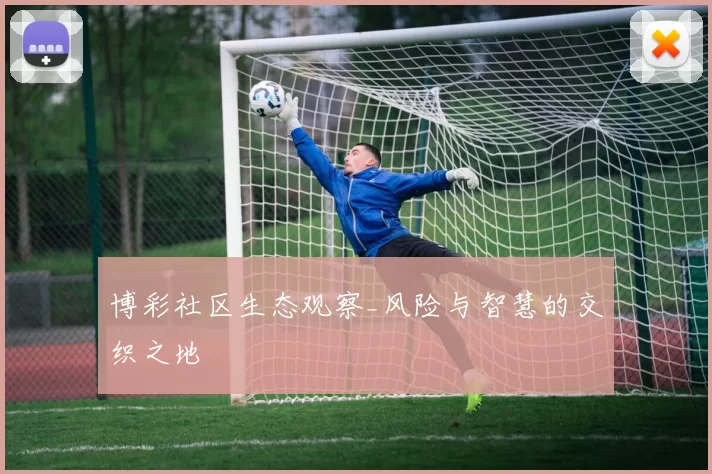 博彩社区生态观察_风险与智慧的交织之地