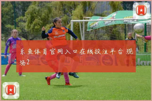 乐鱼体育官网入口在线投注平台 现场2