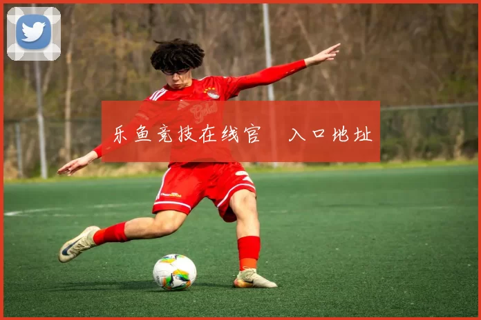 乐鱼竞技在线官網入口地址