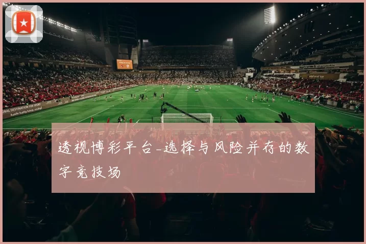 透视博彩平台_选择与风险并存的数字竞技场