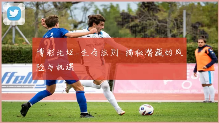 博彩论坛_生存法则_揭秘潜藏的风险与机遇