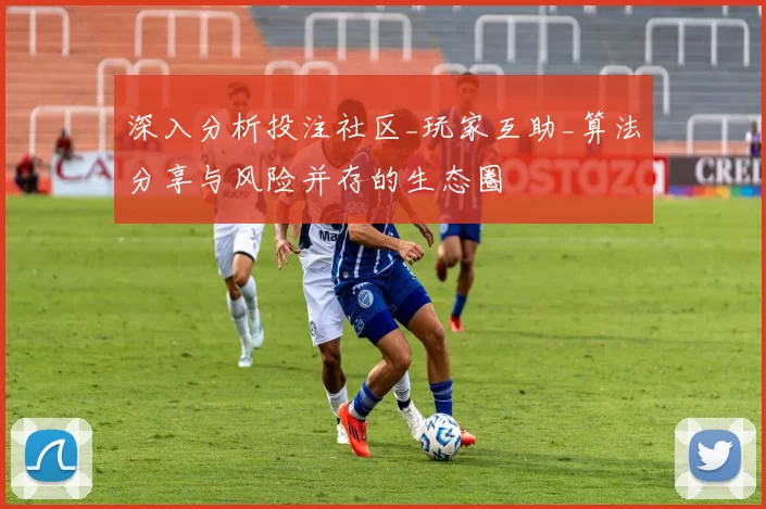 深入分析投注社区_玩家互助_算法分享与风险并存的生态圈