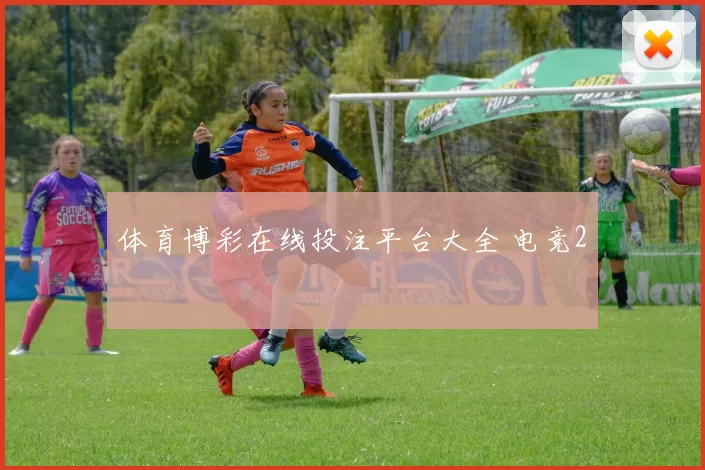 体育博彩在线投注平台大全 电竞2