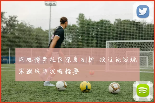 网络博弈社区深度剖析_投注论坛玩家避坑与攻略精要