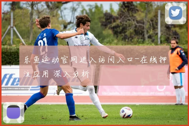 乐鱼运动官网进入访问入口-在线押注应用 深入分析
