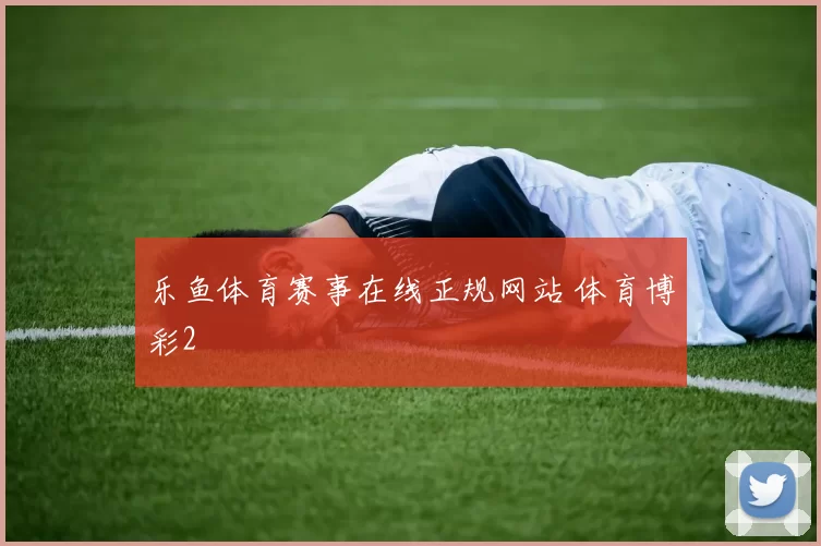 乐鱼体育赛事在线正规网站 体育博彩2