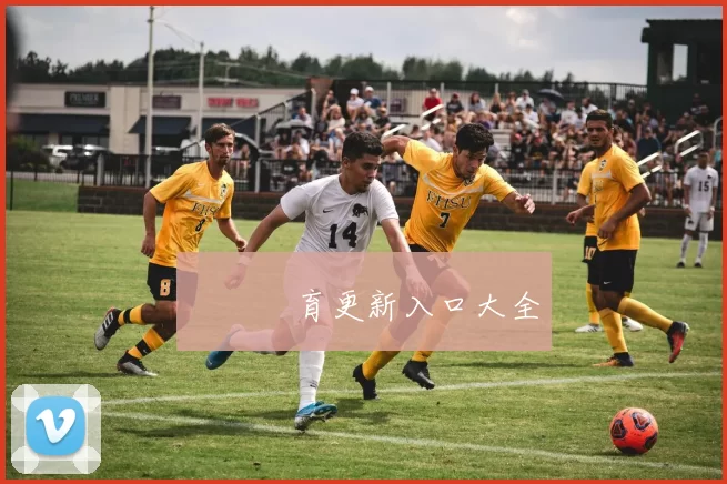 樂魚體育更新入口大全