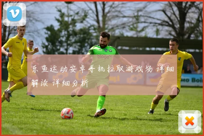乐鱼运动安卓手机拉取游戏场 详细解读 详细分析