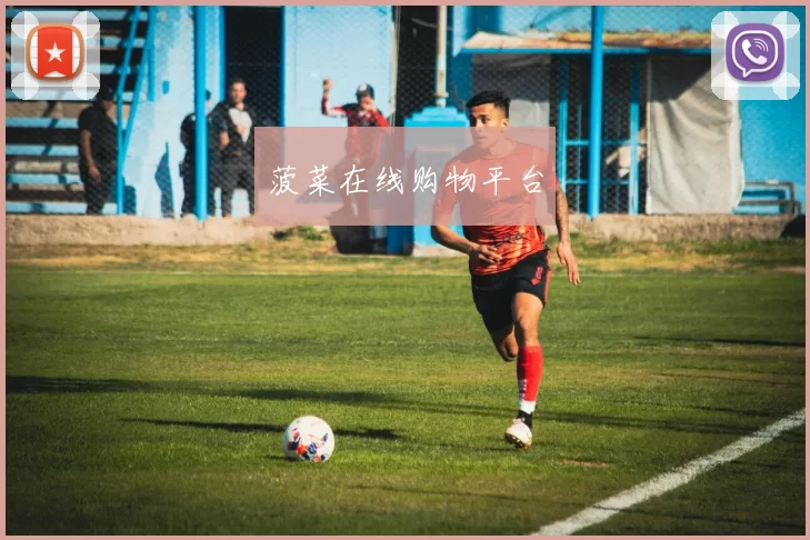 菠菜在线购物平台