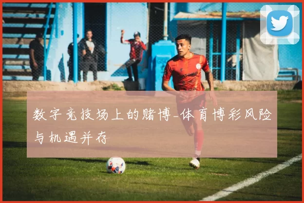 数字竞技场上的赌博_体育博彩风险与机遇并存