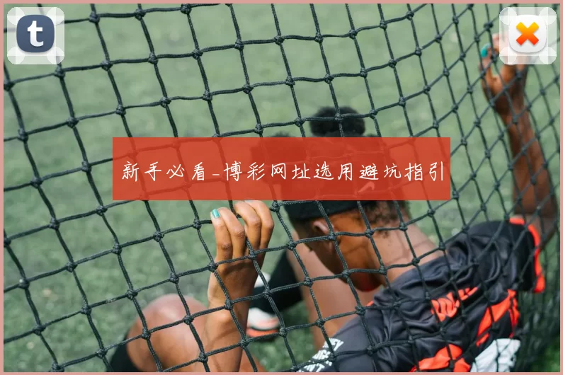 新手必看_博彩网址选用避坑指引